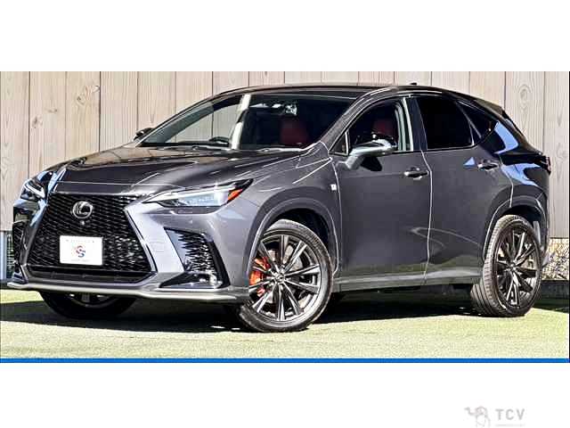 2022 Lexus NX