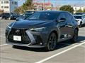 2022 Lexus NX