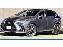 2022 Lexus NX