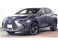 2022 Lexus NX