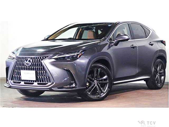 2022 Lexus NX