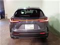 2022 Lexus NX