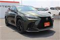 2022 Lexus NX