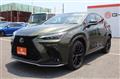 2022 Lexus NX