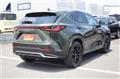 2022 Lexus NX