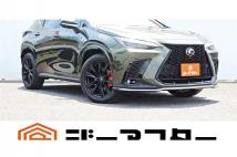 2022 Lexus NX