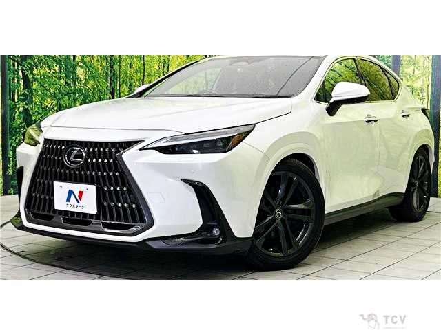 2022 Lexus NX