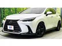 2022 Lexus NX