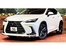 2022 Lexus NX