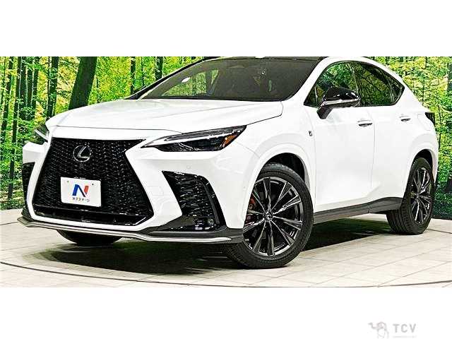 2022 Lexus NX