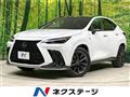 2022 Lexus NX