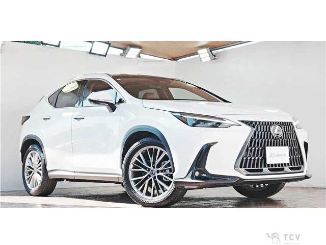 2022 Lexus NX