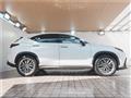 2022 Lexus NX