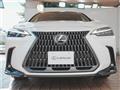 2022 Lexus NX