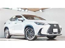 2022 Lexus NX
