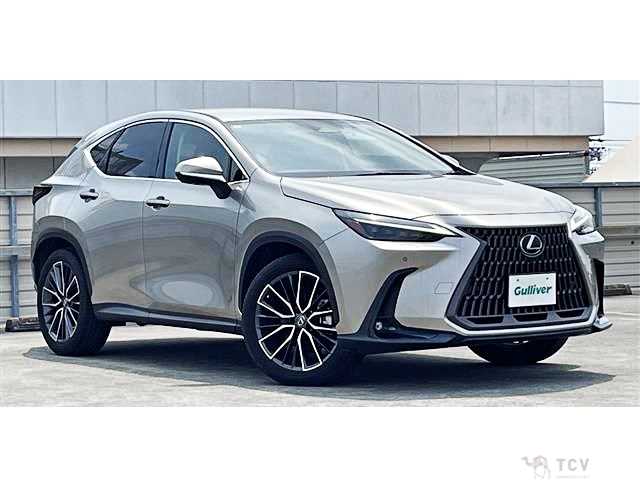 2022 Lexus NX