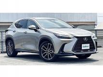 2022 Lexus NX