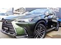 2022 Lexus NX
