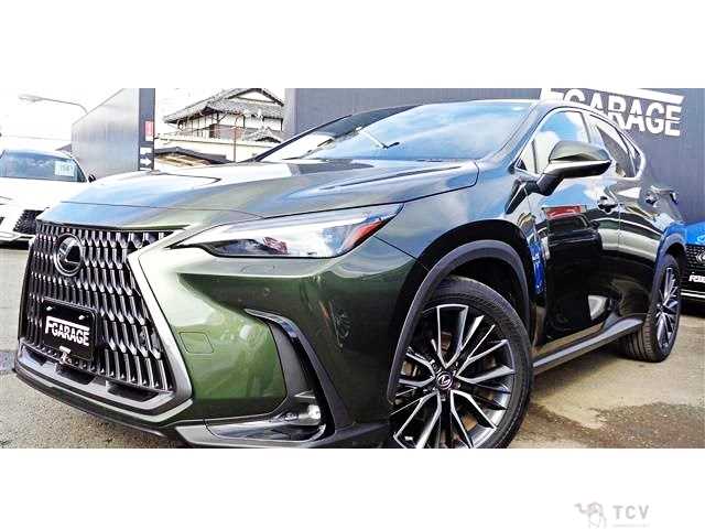 2022 Lexus NX