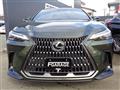 2022 Lexus NX