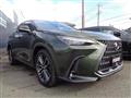2022 Lexus NX