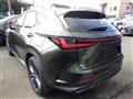 2022 Lexus NX