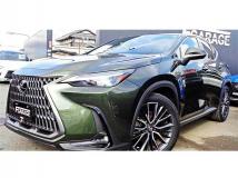 2022 Lexus NX
