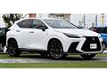 2022 Lexus NX