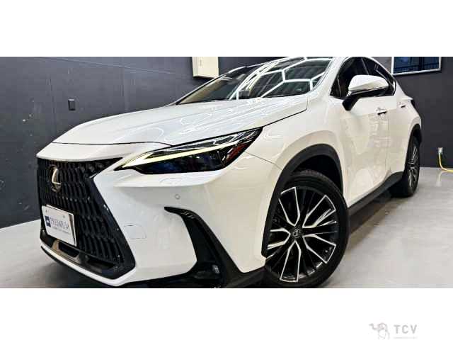 2022 Lexus NX
