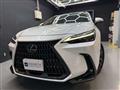 2022 Lexus NX