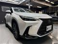 2022 Lexus NX
