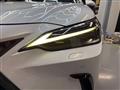 2022 Lexus NX