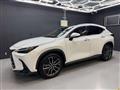 2022 Lexus NX
