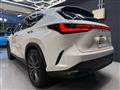 2022 Lexus NX