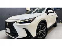 2022 Lexus NX