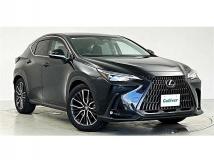 2022 Lexus NX