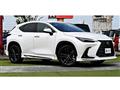 2022 Lexus NX