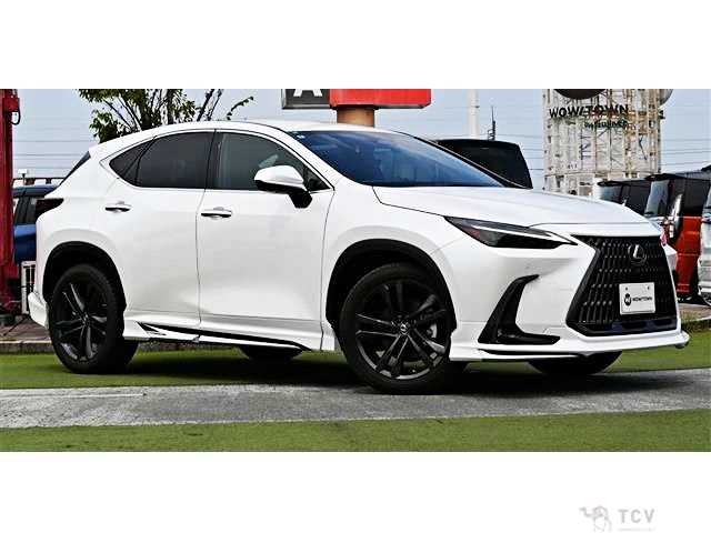 2022 Lexus NX