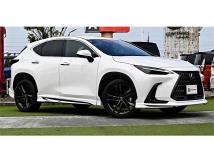 2022 Lexus NX