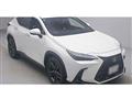 2022 Lexus NX