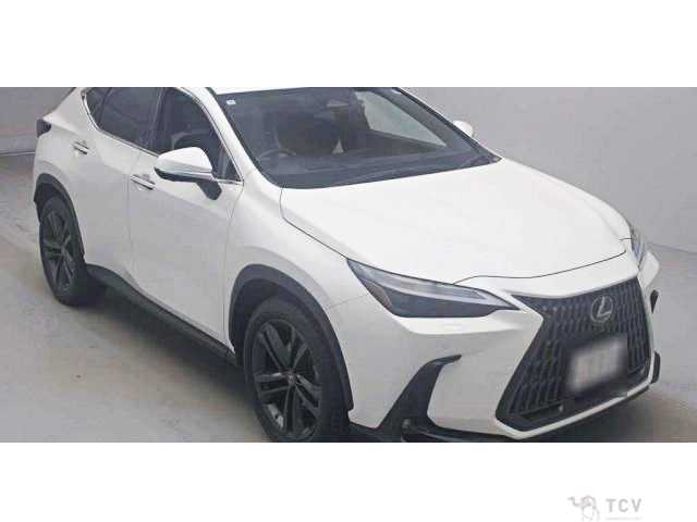 2022 Lexus NX