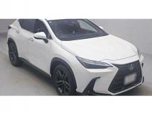 2022 Lexus NX