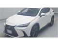 2022 Lexus NX