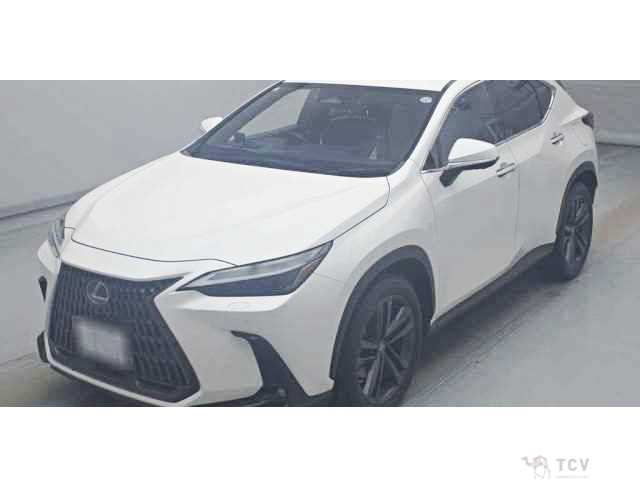 2022 Lexus NX
