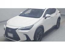 2022 Lexus NX