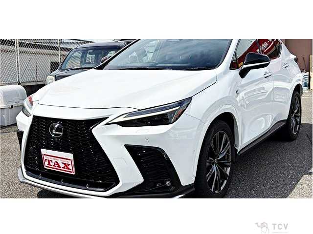 2022 Lexus NX