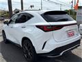 2022 Lexus NX