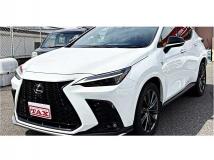 2022 Lexus NX