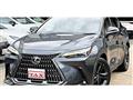 2022 Lexus NX