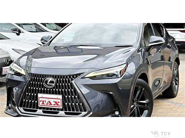 2022 Lexus NX